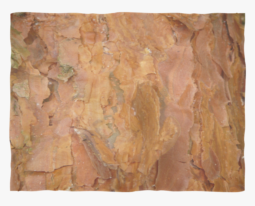 Deep Rust Tree Bark - Plywood, HD Png Download