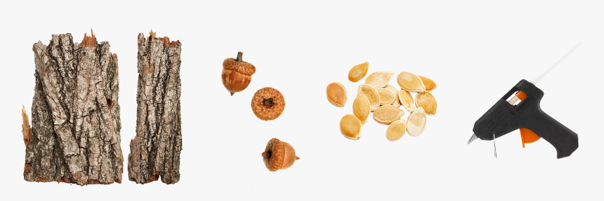 A Tree Of Choices Png, Transparent Png