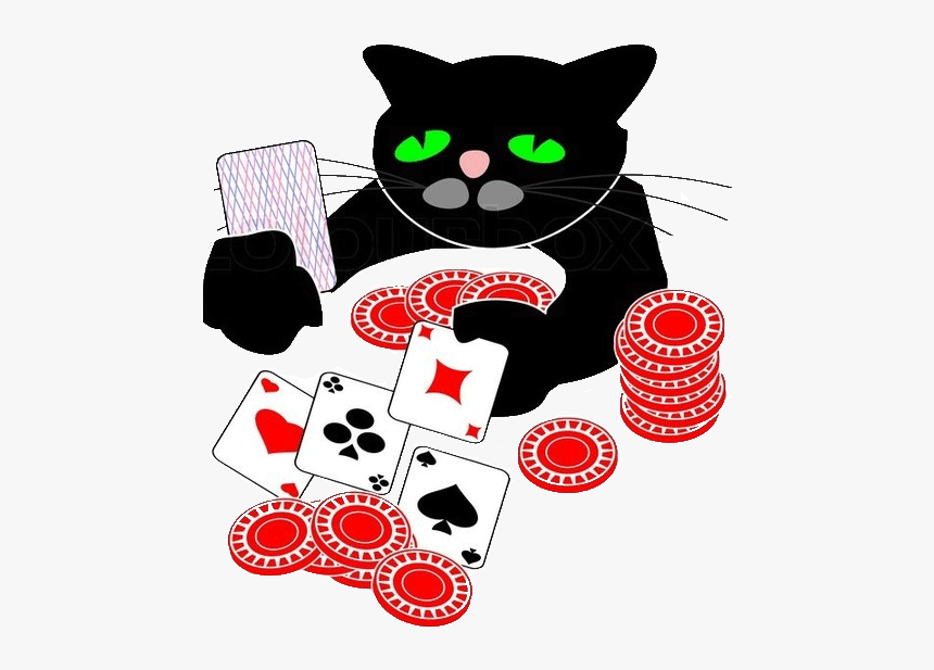 Cat - Happy New Year Cat, HD Png Download