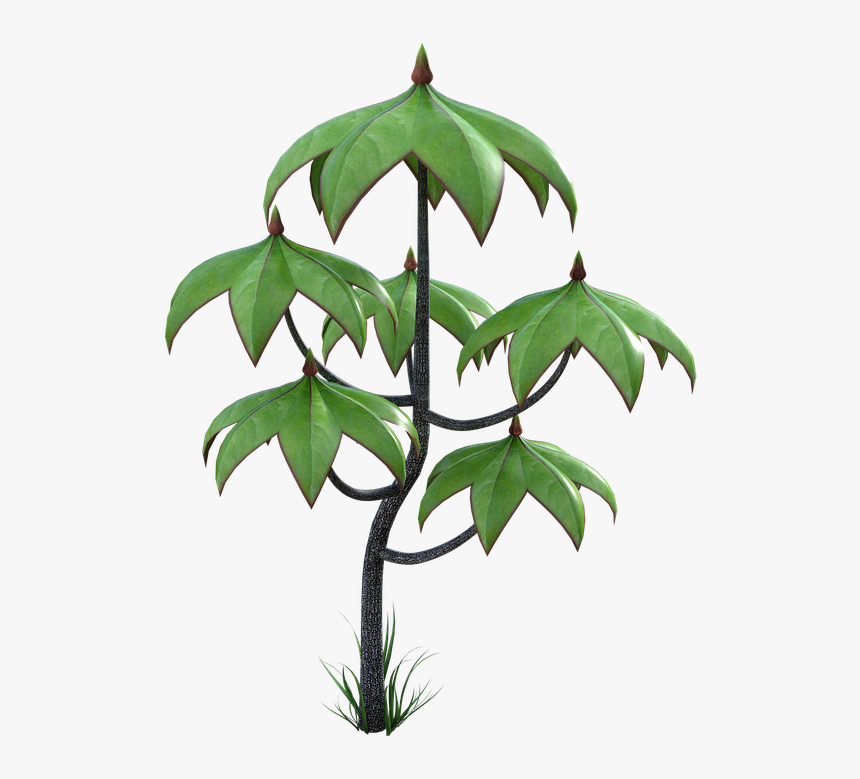 Tree, Leaves, Forest, Bark, Branch, Leaf, Green - Tree, HD Png Download