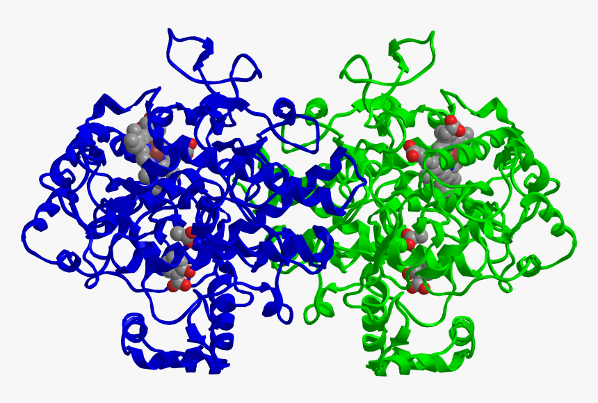 Cox-2 Inhibited By Aspirin - Aspirin Cox Structure, HD Png Download
