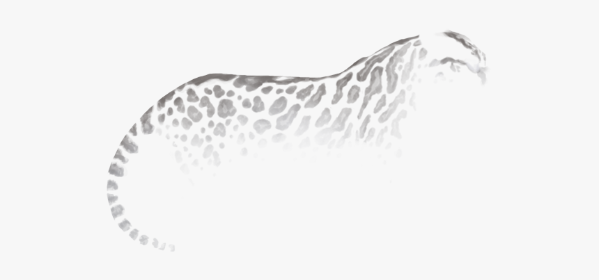 Jaguar, HD Png Download