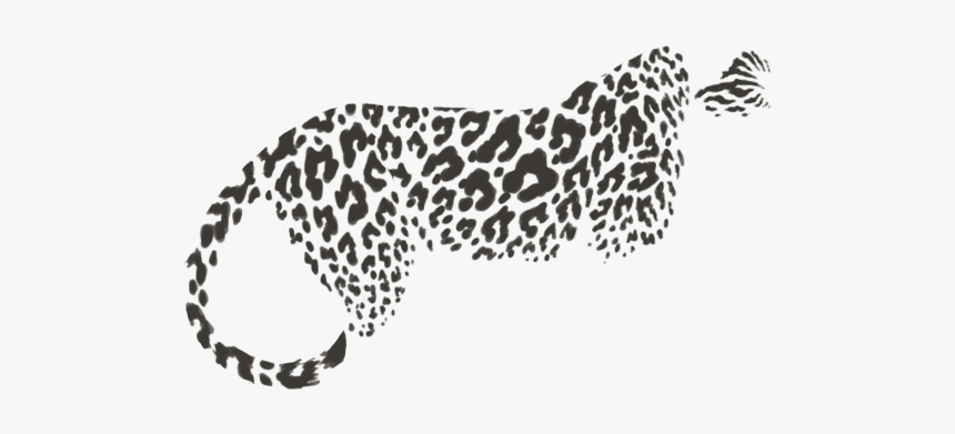 Cheetah, HD Png Download