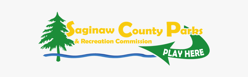 Christmas Tree, HD Png Download