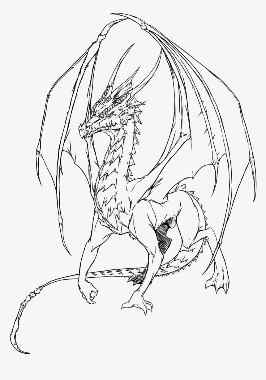Fire Dragon By Little Imp Rin-d42d75s - Fire Drawing Red Dragons, HD Png Download
