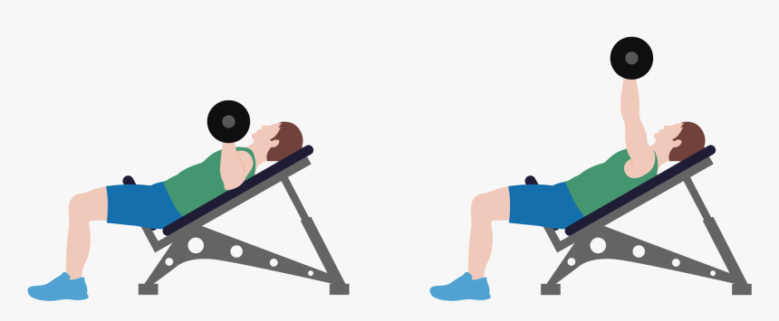 Transparent Hand Weights Clipart - Dumbbell Press Clip Art, HD Png Download