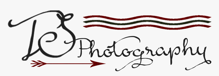 Ts Logo - Calligraphy, HD Png Download