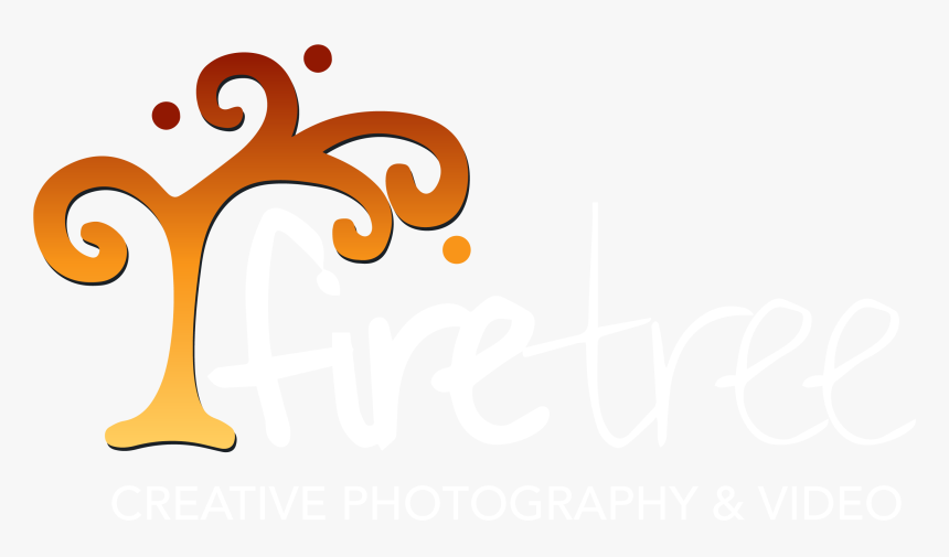 Logo - Illustration, HD Png Download