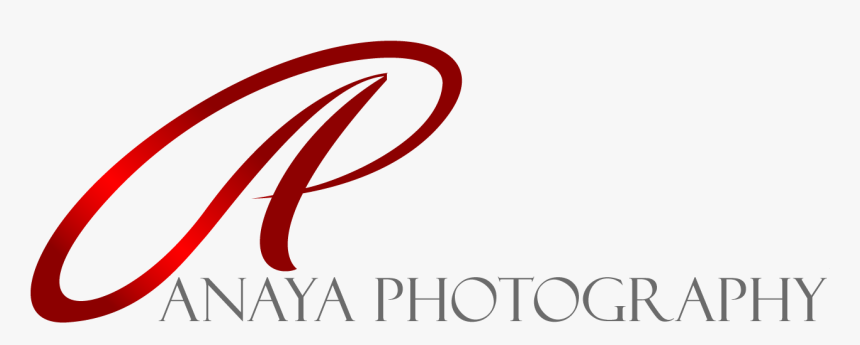 Anaya Photography - @hom Hotel, HD Png Download