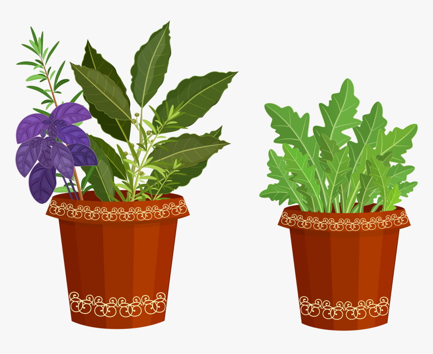 Transparent Potted Plant Png Potted Plants Clip Art Png Download Transparent Png Image Pngitem