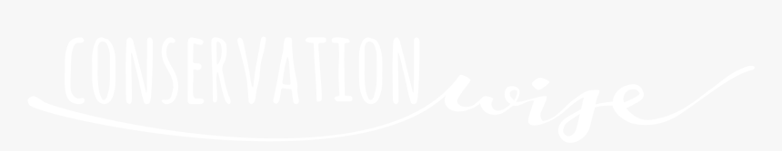 Jp Morgan Logo White, HD Png Download