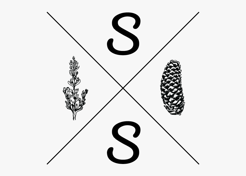 Sagespruce Logomain-02 - Illustration, HD Png Download