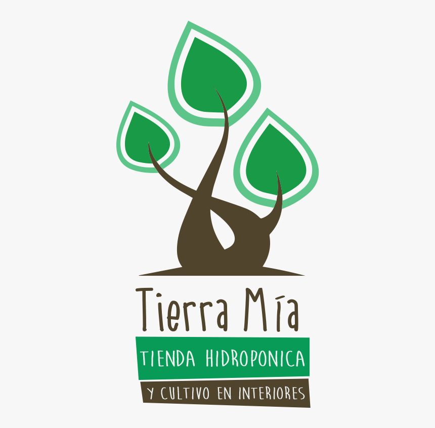 Graphic Design, HD Png Download