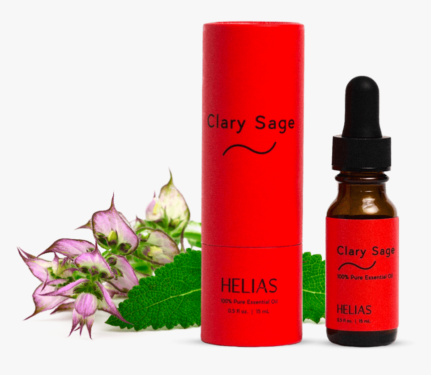 Bottle, HD Png Download