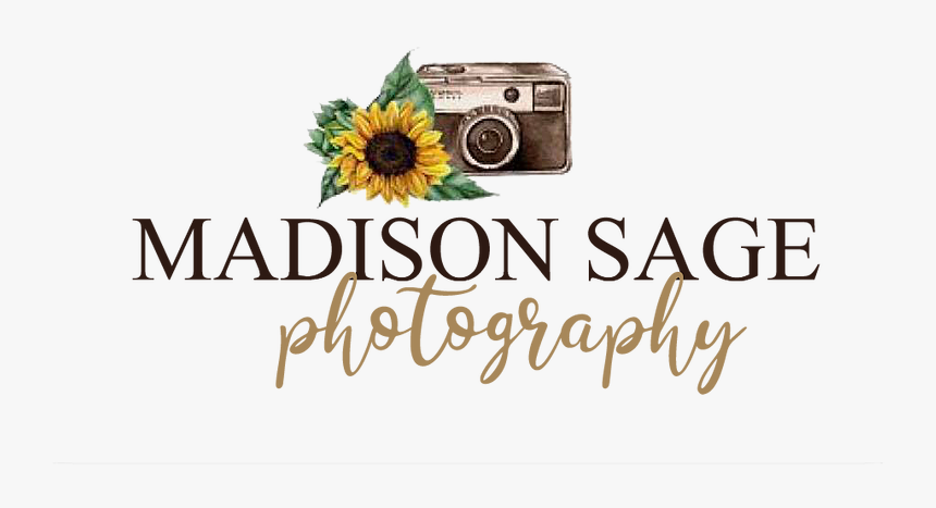 Digital Camera, HD Png Download