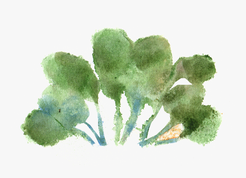 Transparent Watercolor Paint Png - Watercolor Paint, Png Download