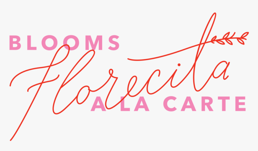 Florecitabold-pnk - Calligraphy, HD Png Download