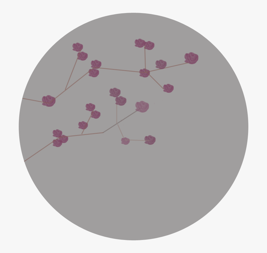 Circle, HD Png Download