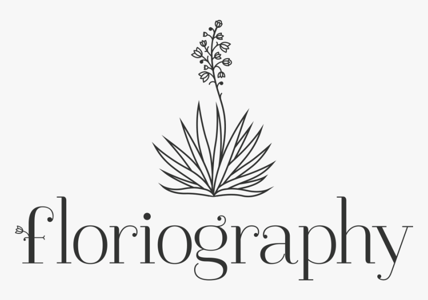 Calligraphy, HD Png Download
