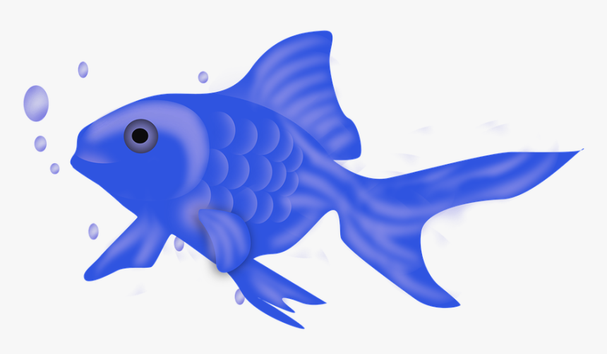 Fish Icon, Fish, Blue Fish, Ocean, Aquarium, Nature - Goldfish, HD Png Download