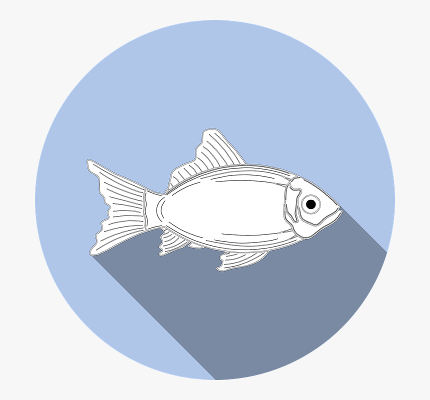 Fish, Allergy, Food, No Fishing, Symbol, Icon, Sign Tuna Puns, HD Png