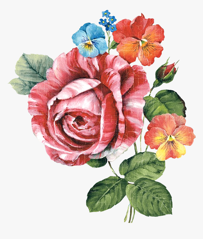Paint Flower Cliparts Botanical Flowers Png Transparent Png Transparent Png Image Pngitem Paint Flower Cliparts Botanical Flowers Png Transparent Png Transparent Png Image Pngitem