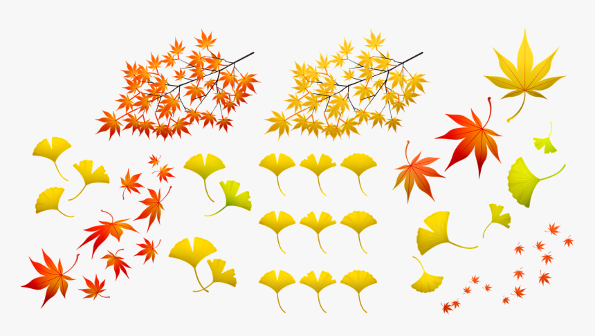 Fall Leaves, Autumn Leaf, Nature, Colorful, Fall, Leaf - Foglie Autunnali Cartone Animato, HD Png Download