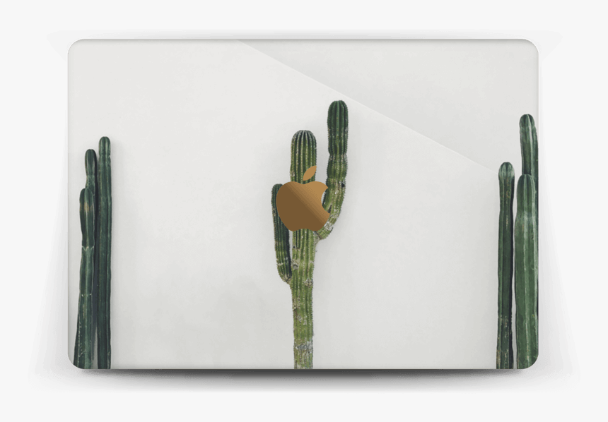 Mexican Cactus Skin Macbook 12” - Apple Macbook Pro, HD Png Download