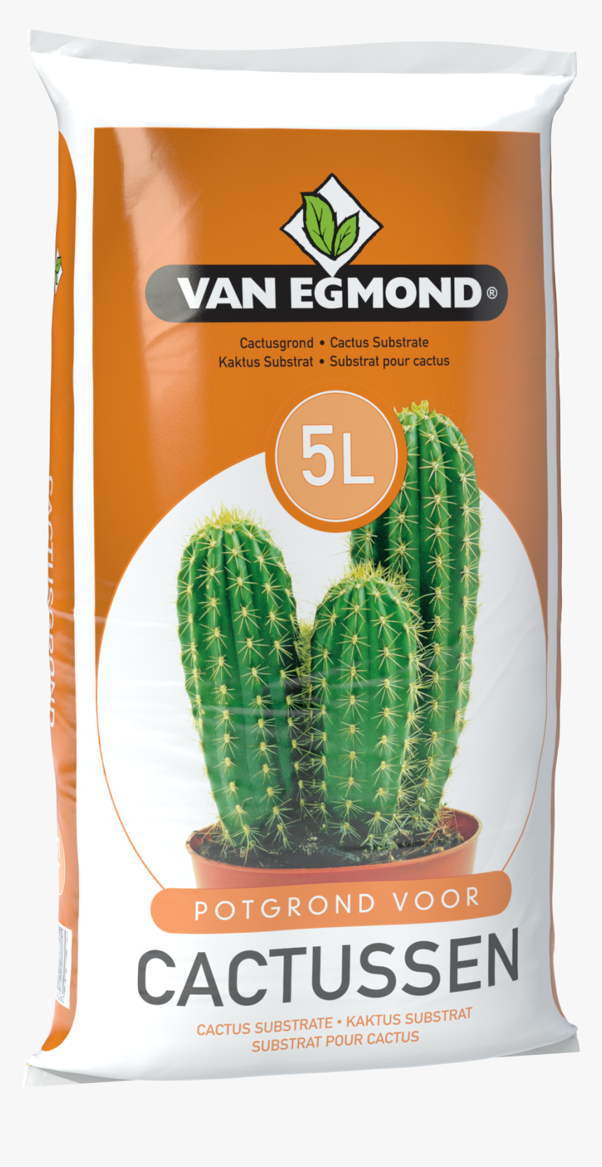 Prickly Pear, HD Png Download