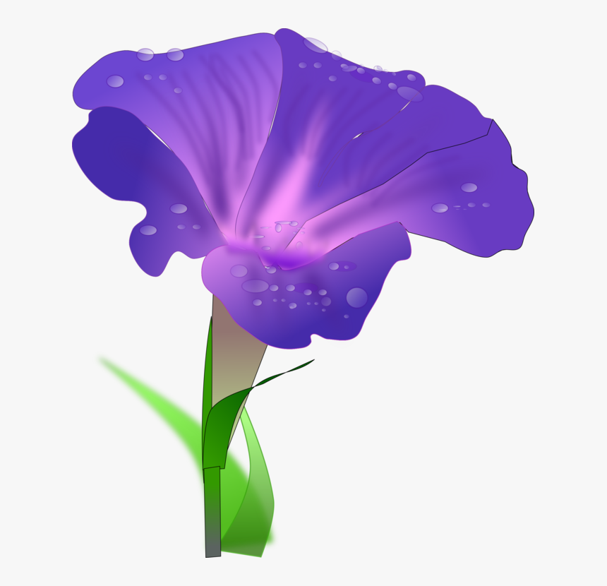 Iris Family,plant,flower - Morning Glory Flower Clipart, HD Png Download