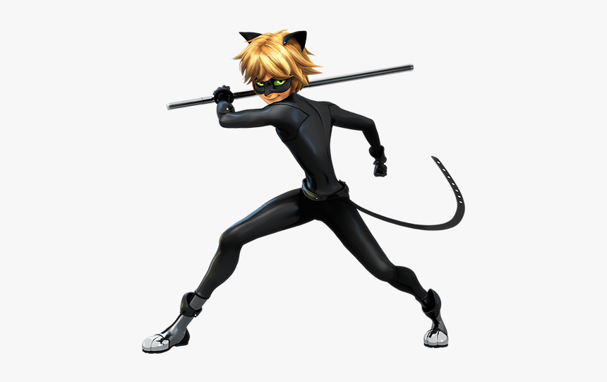 Miraculous Carapace Cat Noir Hd Png Download Transparent Png Image Pngitem
