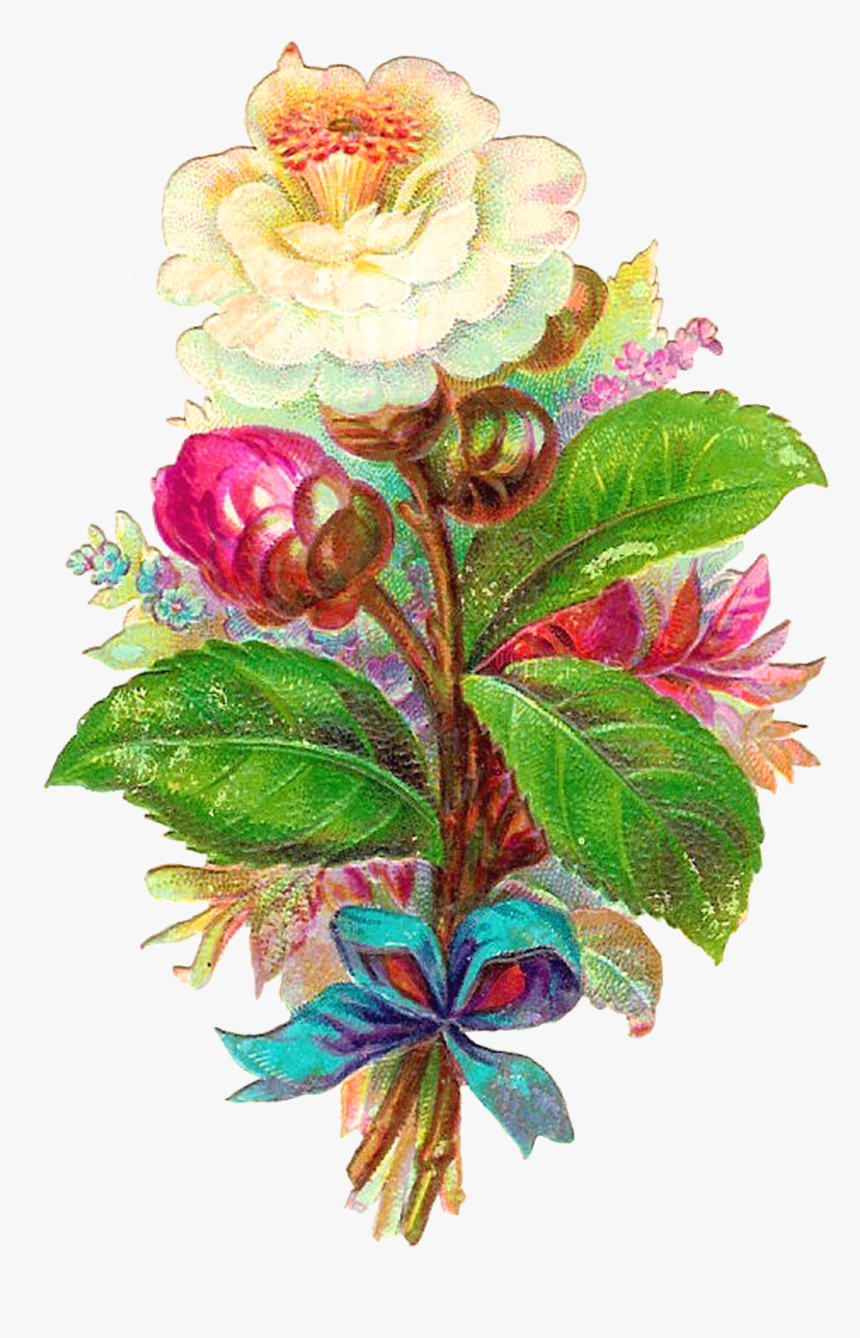 Antique Images Digital Flower White Camellia Vintage - Clip Art, HD Png Download