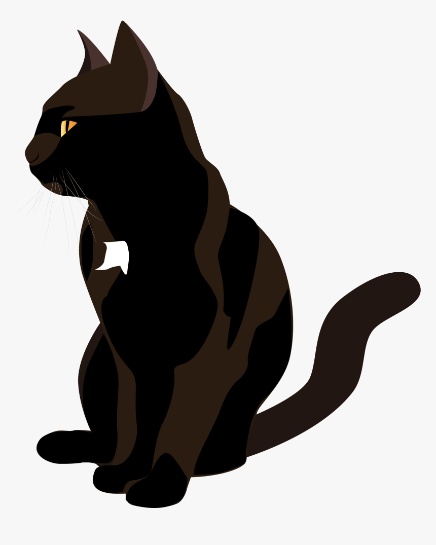 Chat Noir Png, Transparent Png