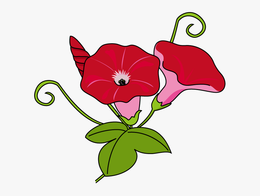 Download Morning Glory Clipart Japanese Morning Glory, HD Png Download