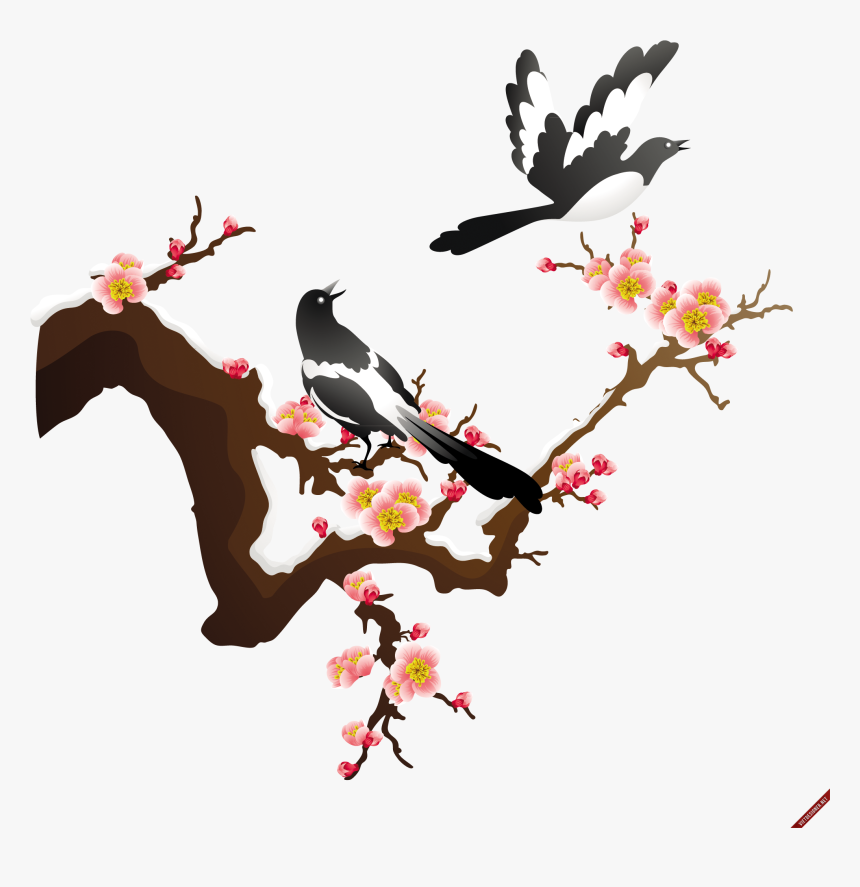 Japanese Apricot Flower Vector , Png Download, Transparent Png