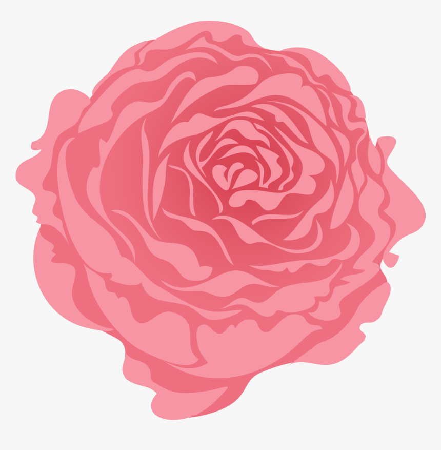 Persian Buttercup, HD Png Download