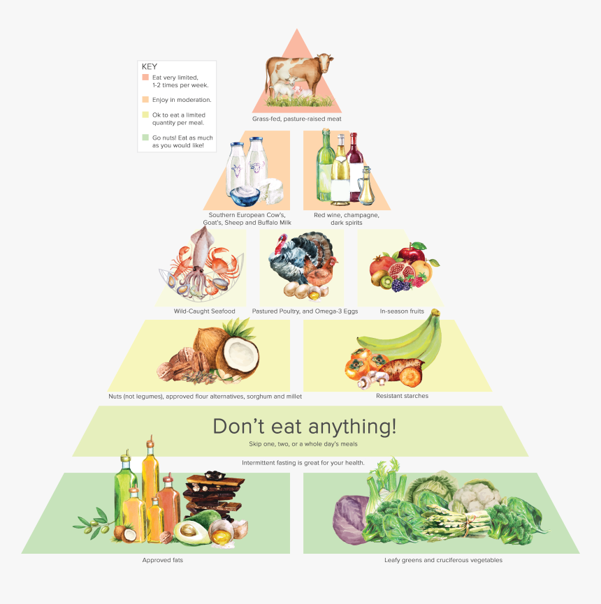 Dr Gundry's Food Pyramid, HD Png Download