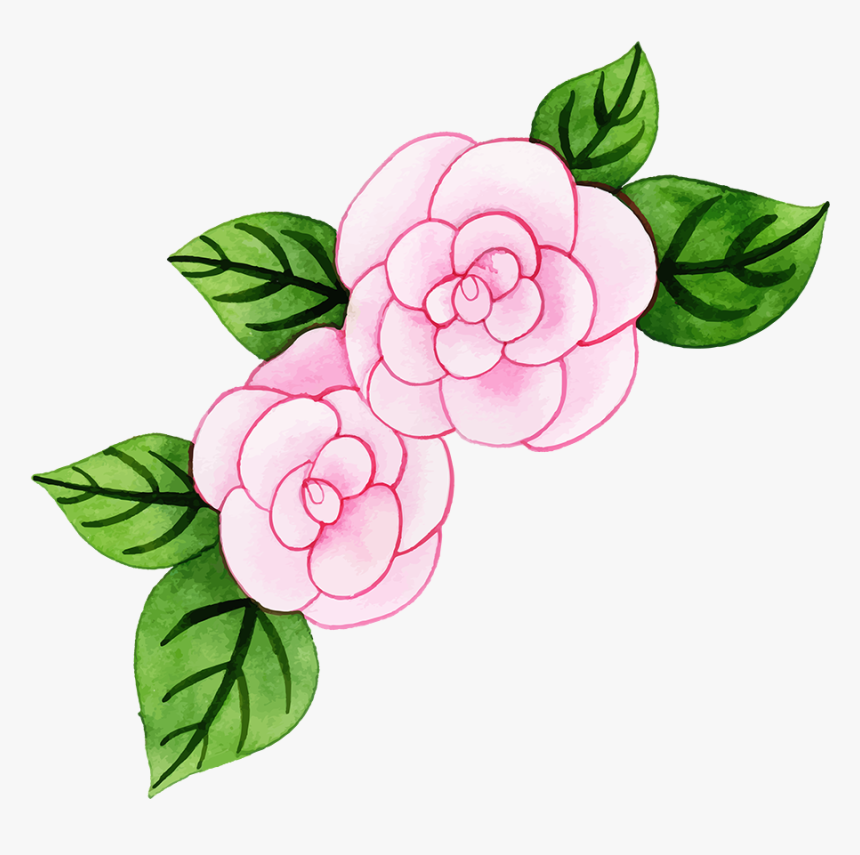 Garden Roses, HD Png Download