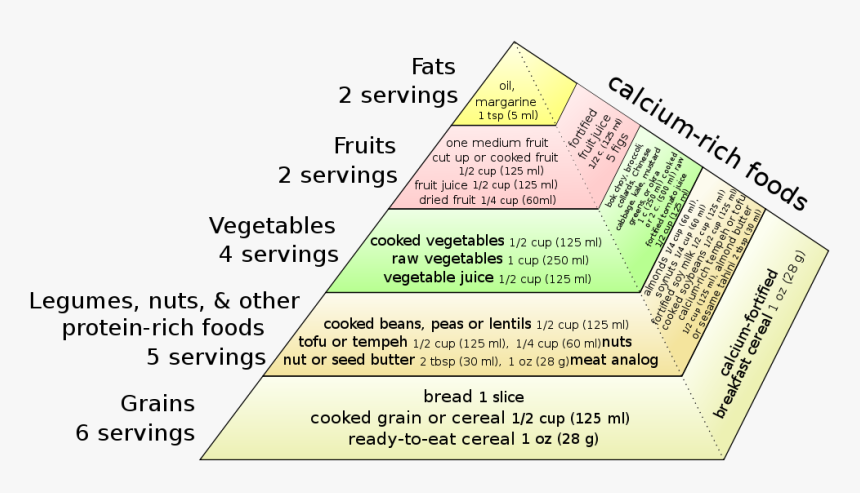 Vegan Food Pyramid - Weaning Food Related Chart, HD Png Download