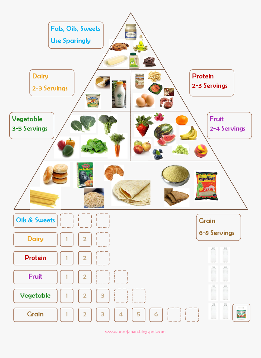 Food Group Chart 2019, HD Png Download