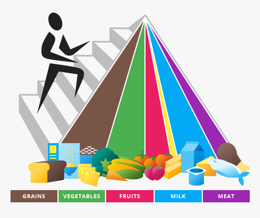 Instructional Materials In Health, HD Png Download