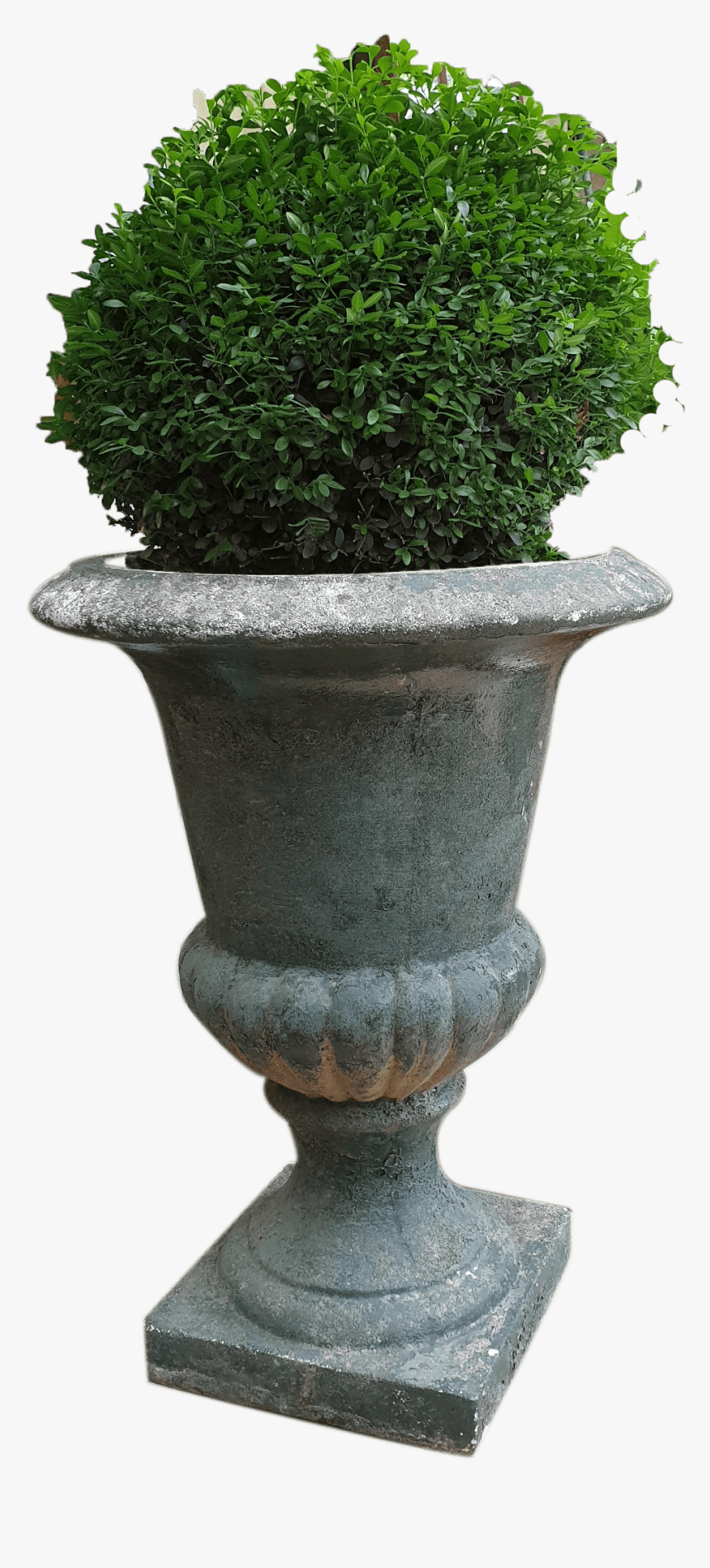 Flowerpot, HD Png Download