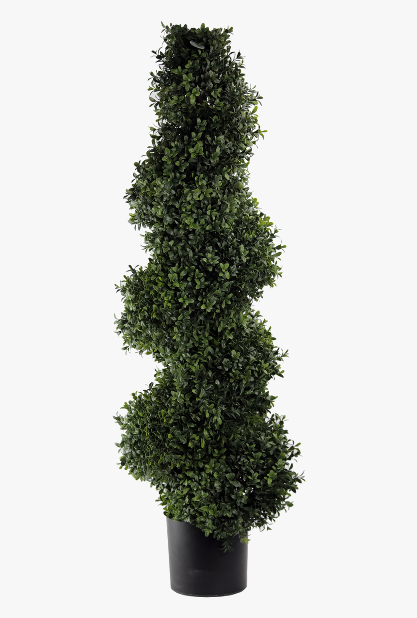 Transparent Topiary Png - Hedge, Png Download