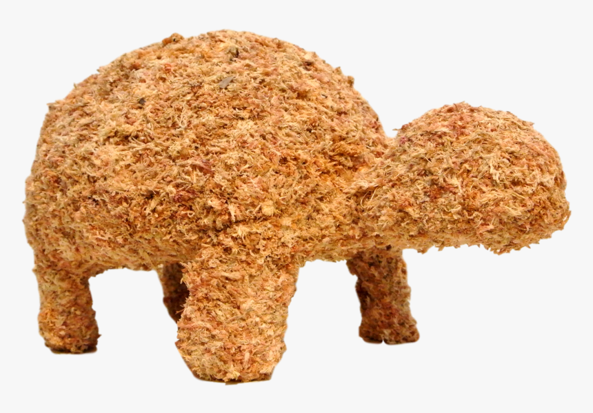 Sheep, HD Png Download