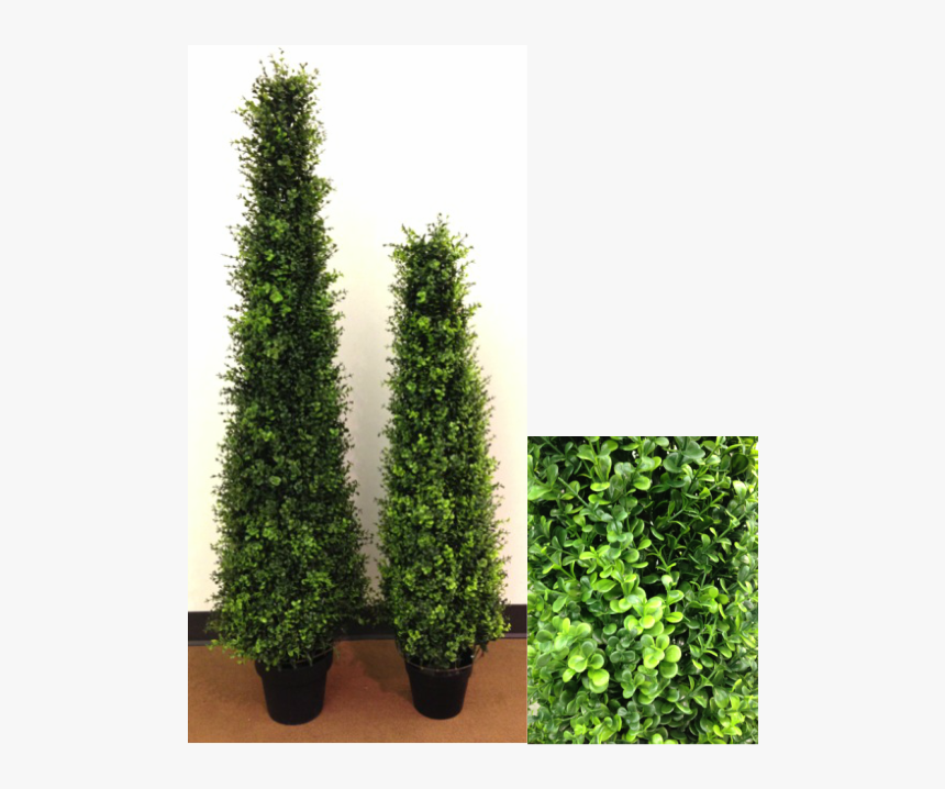 Picture - Flowerpot, HD Png Download