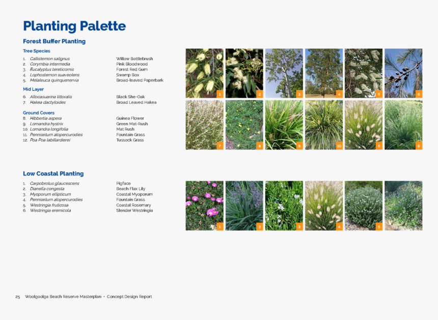 Pdf Creator - Yard, HD Png Download