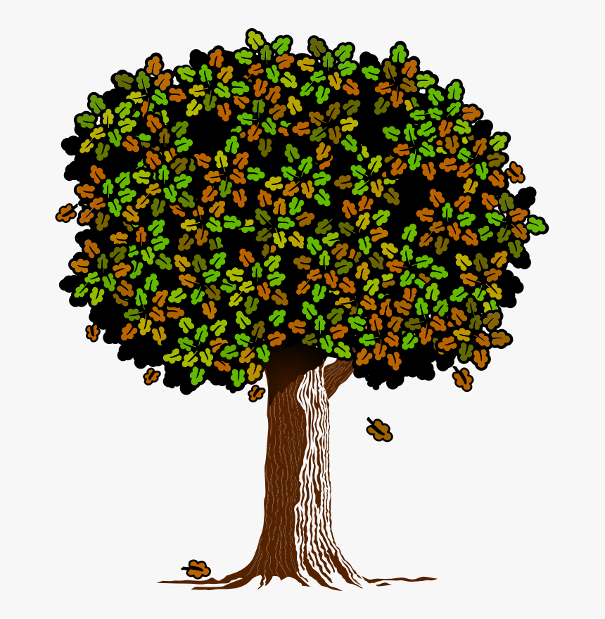 Tree - Oak, HD Png Download