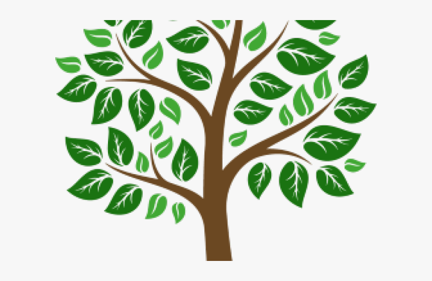 Tree Board, HD Png Download