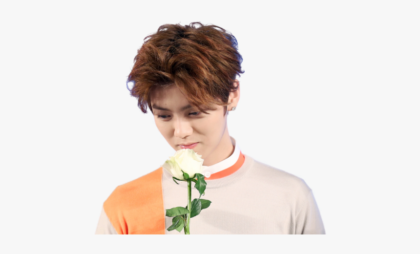 Luhan Exo, HD Png Download