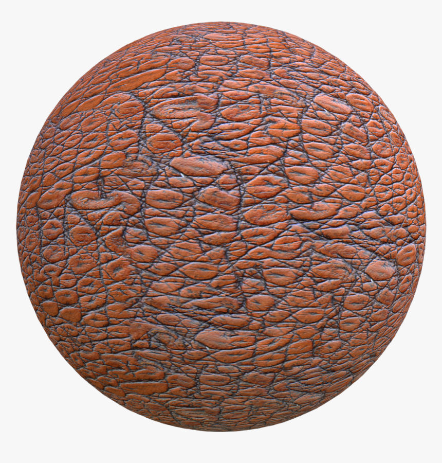 Circle, HD Png Download